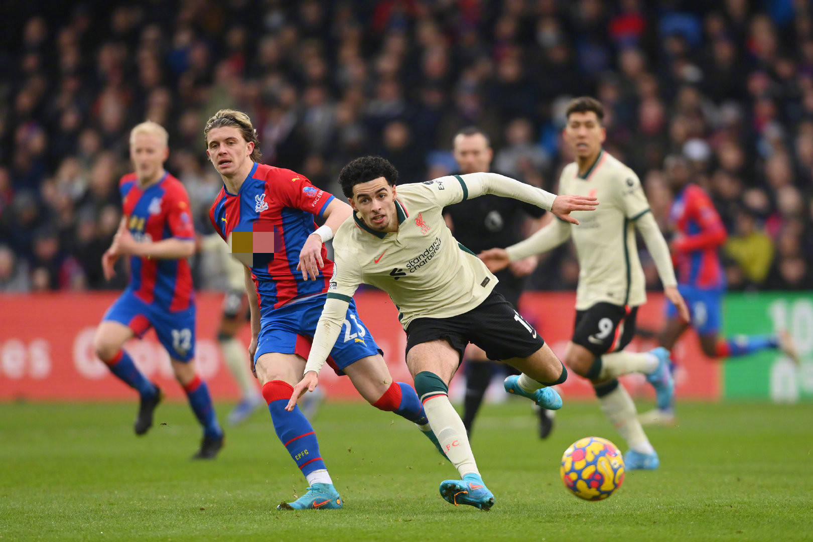 维森特的 维森特的