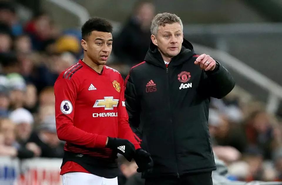 稳健发展的 稳健发展的